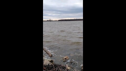 Lincoln Shields Recreation Area in West Alton, Missouri