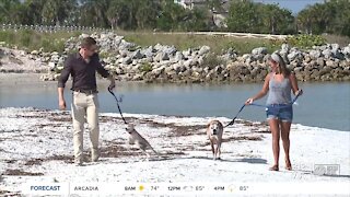 Apollo Beach Nature Preserve is fun for the whole family