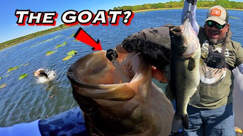 The Most EPIC Day Of Bass Fishing! 70 LBS of Bass on 1 LURE!