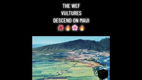 Why FEMA and Maui officials shut off the sirens to alert people of an incoming fire