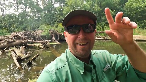 Does the MINI Chatterbait Catch FISH? #creekfishing #smallmouthbassfishing #smallies #zman