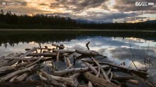 Veja algumas das mais incríveis timelapses da natureza