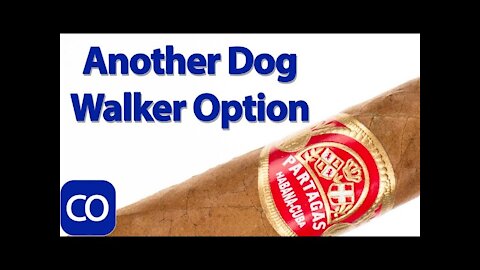 Cuban Partagas Shorts Cigar Review