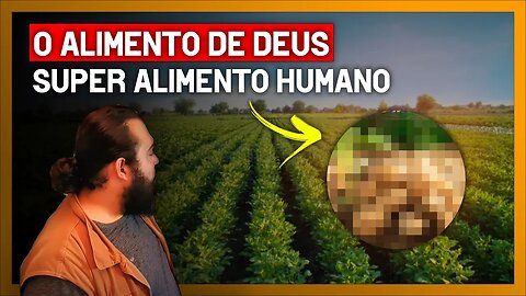 O ALIMENTO DE DEUS - Super alimento humano (Historia, plantio e manejo)