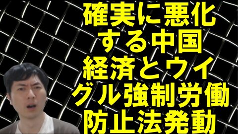 【アメリカ】意外な行動を見せるトランプ・マスク氏と世界を混乱に陥れるお困りの勢力 その13