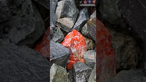 Rare Red Gemstones Discovered On Logging Road!