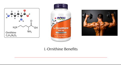 Ornithine - Amino Acid Supplement Benefits