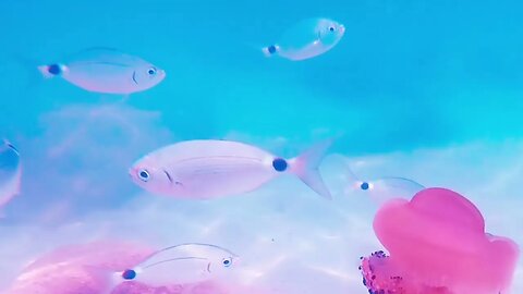 Fantastic Fishes Swimming in Abstract Ocean Waves