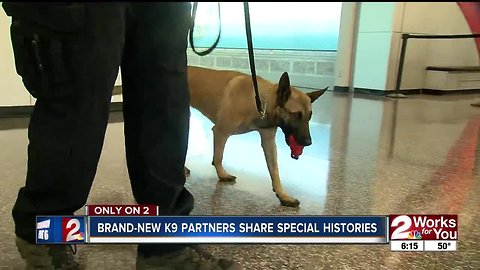 Brand-new K9 partners share special histories