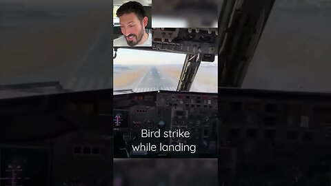 Bird Strike During Landing! 😱 #shorts #aviation