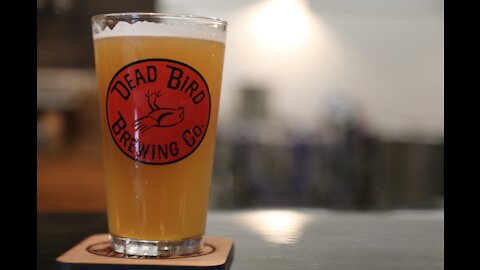 We're Open: Become brewmaster for the day at Dead Bird Brewing