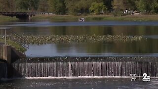 Record attendance at state parks during pandemic