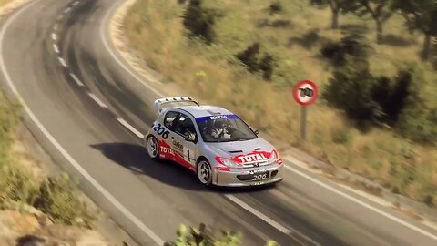 DiRT Rally 2 - Replay - Peugeot 206 at Vinedos Dardenya