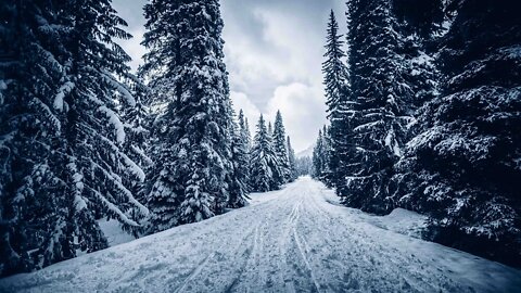 Hiking in a Winter Wonderland