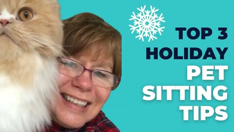 Top 3 Holiday Pet Sitting Tips!