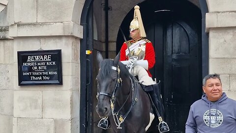 Dont touch the reins #horseguardsparade