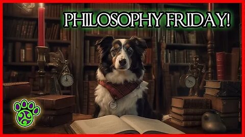 Play+ Universe & Flow Theory: Throttling Flow & Tuning Tone | Philosophy Friday #101 🌌🥏🐶🥋