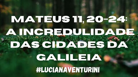 Mateus 11, 20-24 A incredulidade das cidades da Galileia #lucianaventurini #evangelhodemateus