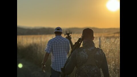 Central Cal Pig hunt