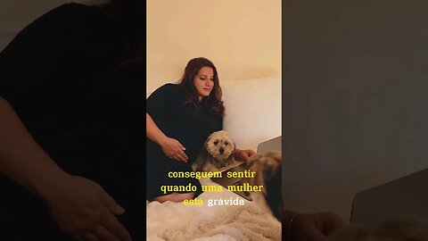 3 coisas que os cães sabem sobre nós graças ao olfato #shots