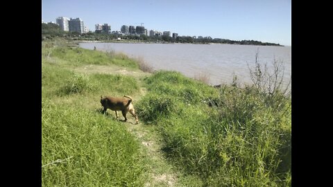 Con Musa en el Río