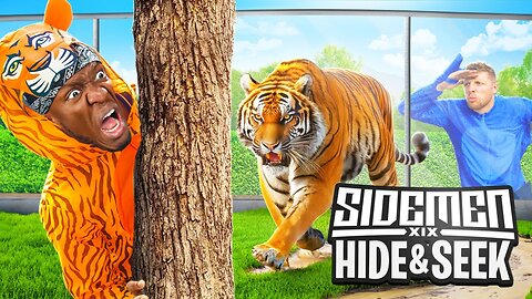 SIDEMEN HIDE & SEEK IN A ZOO