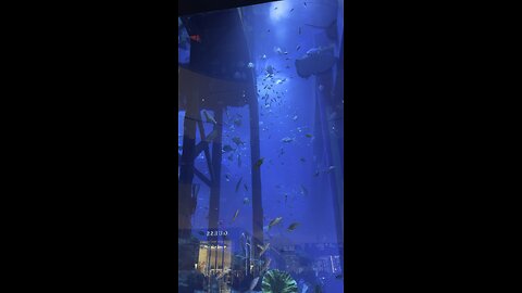 Dubai fish aquarium 🐠 🐟 🎣 🐠