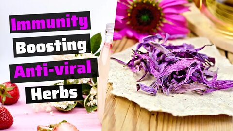 8 HERBS for Boosting IMMUNITY Naturally.