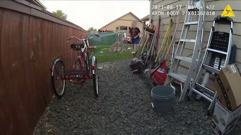 Loveland police release body cam video in shooting that injured intellectually disabled man