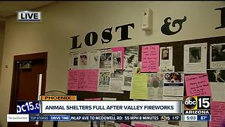 Animal shelters busy after Valley fireworks