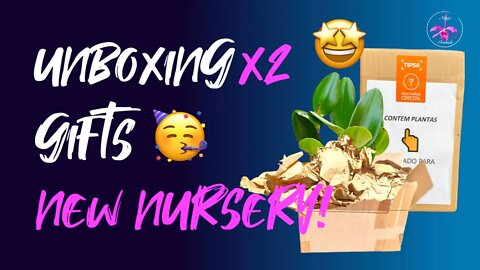 SURPRISE!! x2 | Unboxing #orchid gifts | Unboxing 1st ever wishlist orchid after 4 years ON THE HUNT