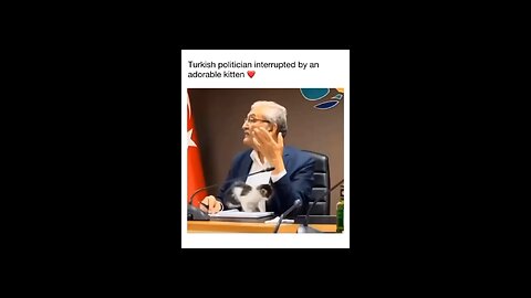 Turkish minister interupted by kitten❤️❤️