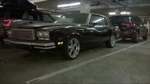 1980 Monte Carlo Underground Parking/Barn Find