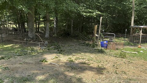 Cleaned Up Limb That Smashed Fence and Gate 🚜 #stormdamage #tractor #farming #homesteading