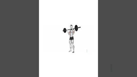 top biceps exercise