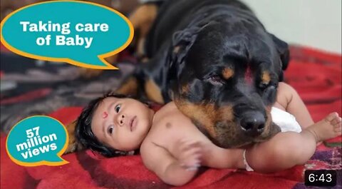 Jerry and Aaru are made for each other | Dog protecting baby