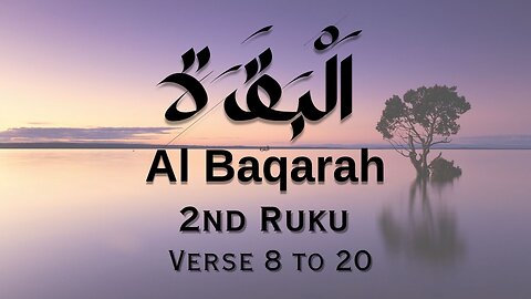 Beautiful Recitation | Surah Al Baqarah | سورة البقره | Ruku 2| Verse 8 to 20|Walid Marei Al Shehri