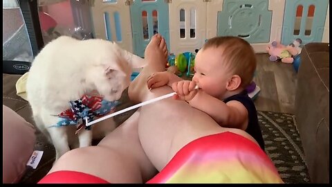 Cute Babies play with dog and cat