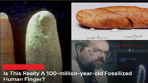 Is This Really A 100-million-year-old Fossilized Human Finger?