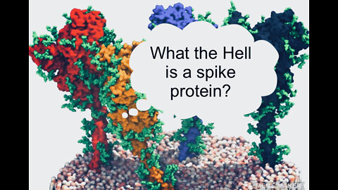 What the Hell is a SPIKE PROTEIN?