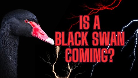 Is A BLACK SWAN Coming? What Is A Black Swan? Hear The Facts and Prepare