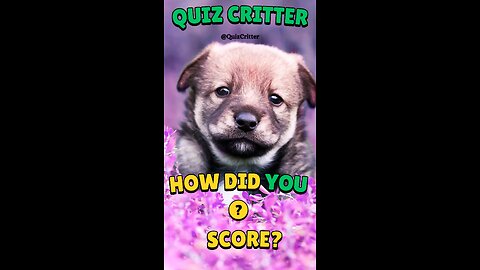 Quiz Critter 🐶 - Multiplying doubles #short #animal #quiz