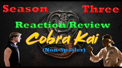 Cobra Kai Season 3 Reaction / Review (Non-Spoiler)