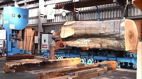 Inside a modern sawmill in Japan - Visit wood processing plants