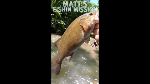 Waterfall smallmouth! (short version)