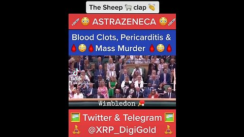 The SHEEP clap 👏 like SEALS 🦭