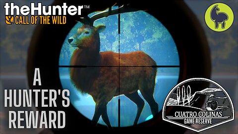 A Hunter's Reward, Cuatro Colinas | theHunter: Call of the Wild (PS5 4K)