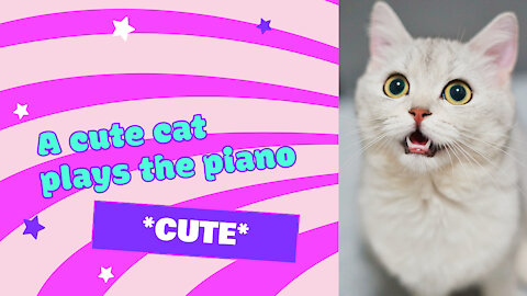 A cute cat plays the piano