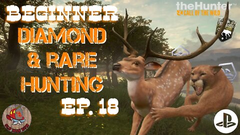 Beginner Diamond & Rare Hunting Ep 18 theHunter Call of the Wild