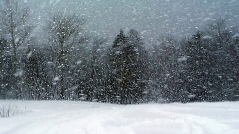 SNOW STORM SOUND, SNOWSTORM BLIZZARD SOUNDS, WINTER STORM SOUND For Sleeping, Wind Storm for 1 Hours